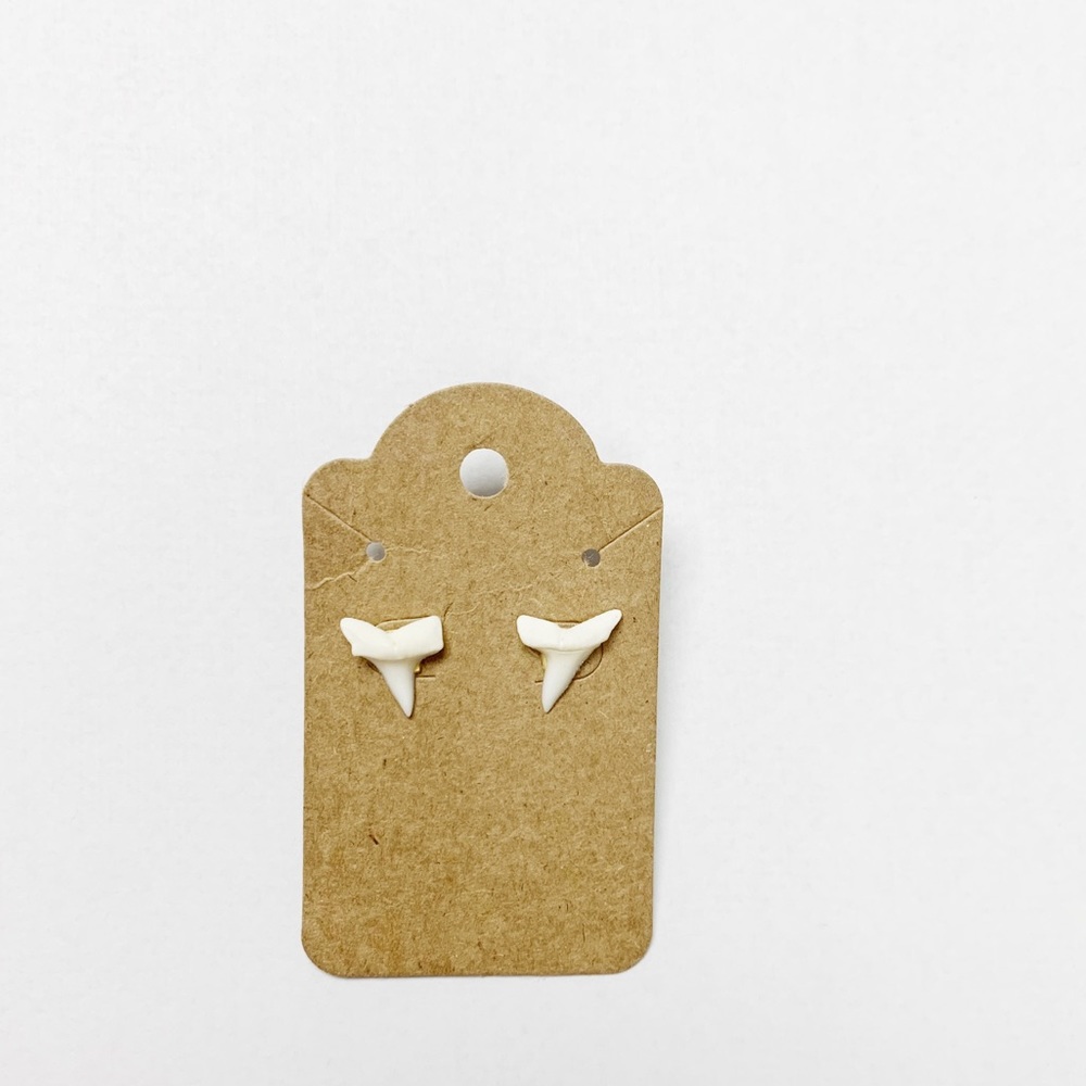 Shark tooth stud earrings